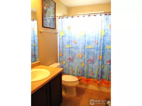 587 Edenbridge Dr, Windsor, CO 80550 photo 15