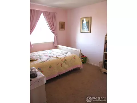 587 Edenbridge Dr, Windsor, CO 80550 photo 12
