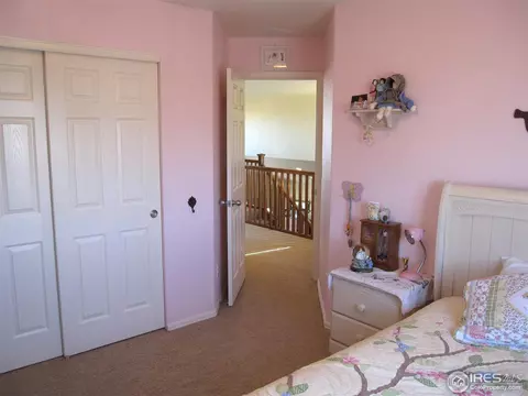 587 Edenbridge Dr, Windsor, CO 80550 photo 13