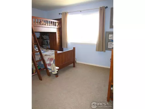 587 Edenbridge Dr, Windsor, CO 80550 photo 10