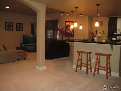8403 Castaway Dr, Windsor, CO 80528 photo 22