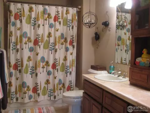 8403 Castaway Dr, Windsor, CO 80528 photo 17