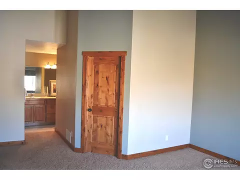 250 Topaz Ct, Windsor, CO 80550 photo 15