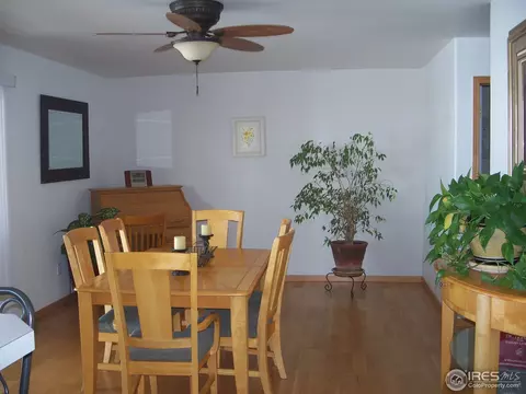 1013 Longview Ave, Berthoud, CO 80513 photo 11