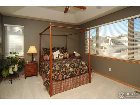 6475 Half Moon Bay Dr, Windsor, CO 80550 photo 10
