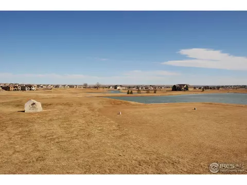 6475 Half Moon Bay Dr, Windsor, CO 80550 photo 23