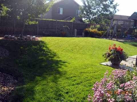 1111 Canyon Dr, Windsor, CO 80550 photo 24