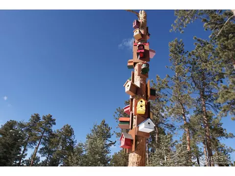 109 Lionshead Dr, Pine, CO 80470 photo 14