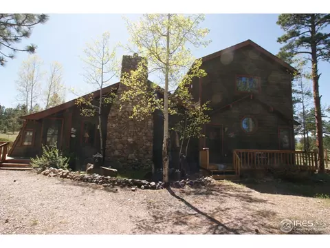 109 Lionshead Dr, Pine, CO 80470 photo 13