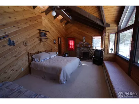 109 Lionshead Dr, Pine, CO 80470 photo 10