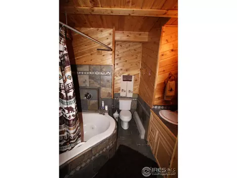 109 Lionshead Dr, Pine, CO 80470 photo 9