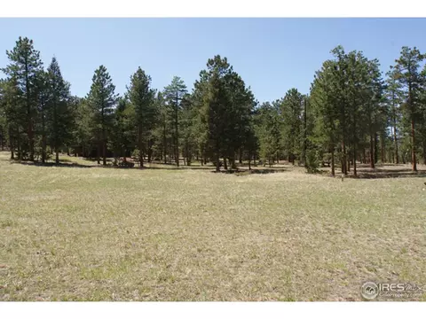 109 Lionshead Dr, Pine, CO 80470 photo 2