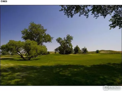 6860 Clovis Ct, Timnath, CO 80547 photo 23
