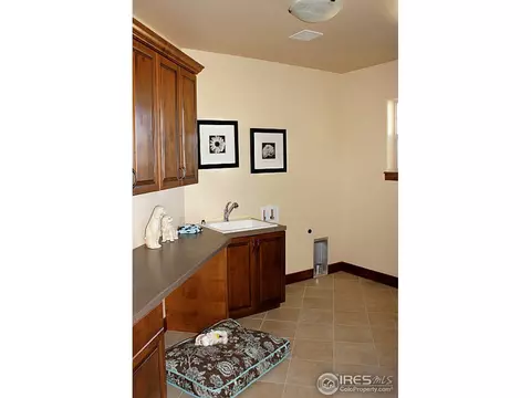 6860 Clovis Ct, Timnath, CO 80547 photo 16