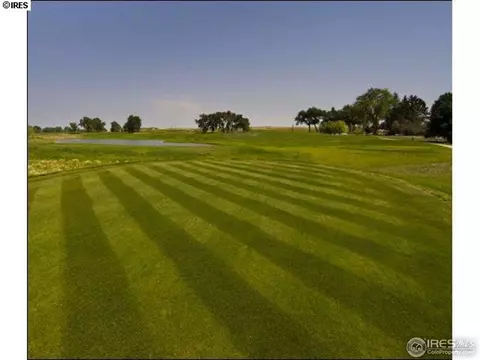 6860 Clovis Ct, Timnath, CO 80547 photo 25