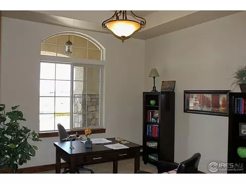6860 Clovis Ct, Timnath, CO 80547 photo 11