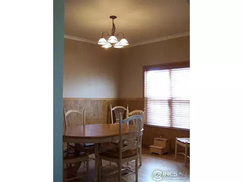 217 E Michigan Ave, Berthoud, CO 80513 photo 9