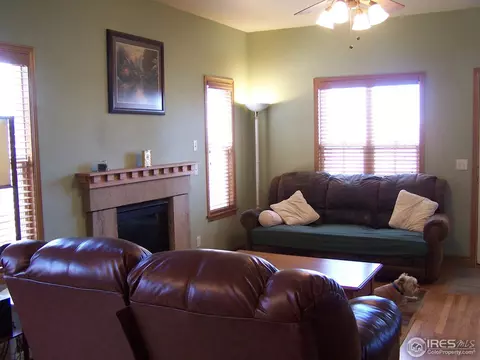 217 E Michigan Ave, Berthoud, CO 80513 photo 6