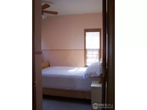 217 E Michigan Ave, Berthoud, CO 80513 photo 16