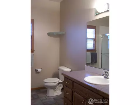 217 E Michigan Ave, Berthoud, CO 80513 photo 19