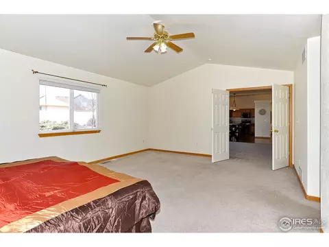 204 Poudre Bay, Windsor, CO 80550 photo 18