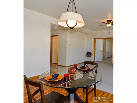204 Poudre Bay, Windsor, CO 80550 photo 11