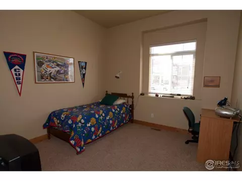 1747 Green River Dr, Windsor, CO 80550 photo 19