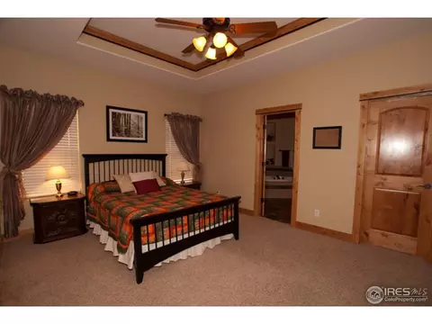 1747 Green River Dr, Windsor, CO 80550 photo 16