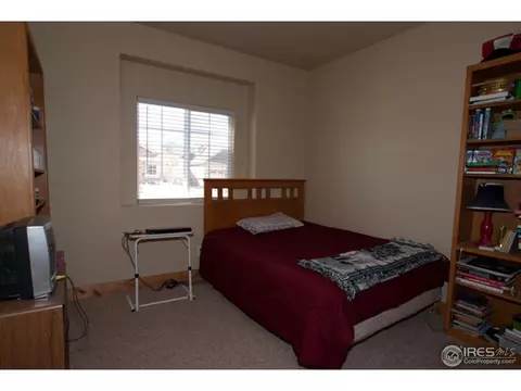 1747 Green River Dr, Windsor, CO 80550 photo 10
