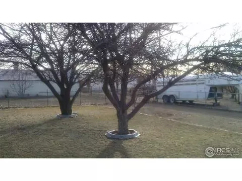 1048 E 16th St, Greeley, CO 80631 photo 4