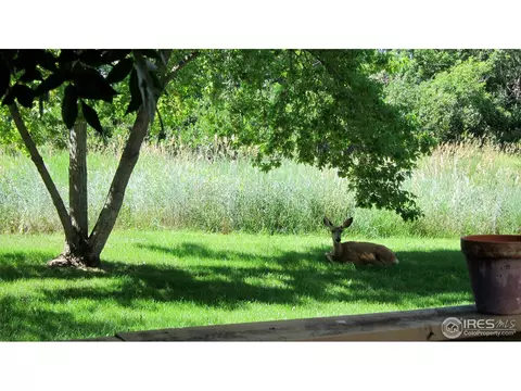 1197 Bear Mountain Dr #A, Boulder, CO 80305 photo 18