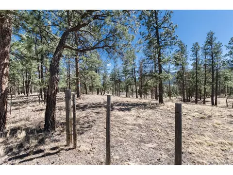 lot12 A Bailey Ests, Bailey, CO 80421 photo 25