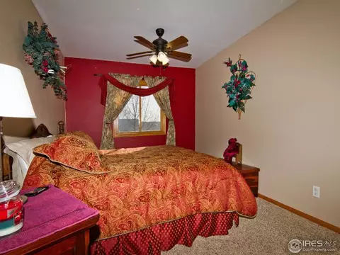 225 Plum Ct, Windsor, CO 80550 photo 20