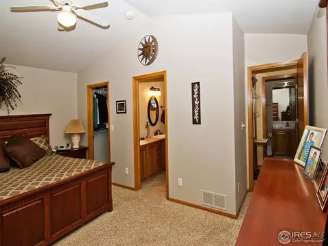 225 Plum Ct, Windsor, CO 80550 photo 16