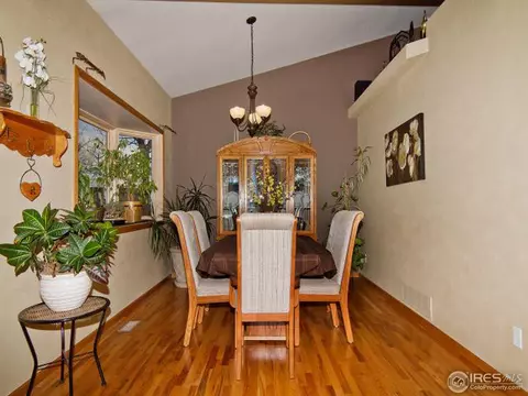 225 Plum Ct, Windsor, CO 80550 photo 12