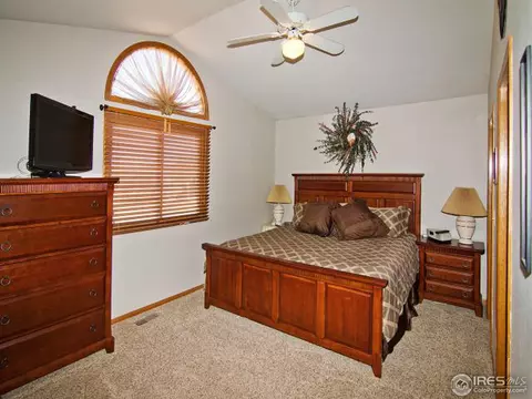 225 Plum Ct, Windsor, CO 80550 photo 15