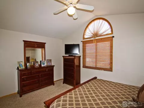 225 Plum Ct, Windsor, CO 80550 photo 18