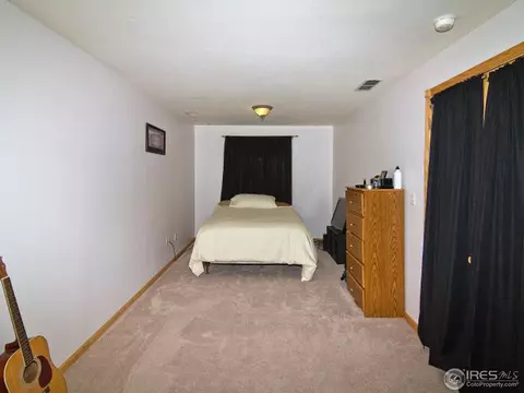 225 Plum Ct, Windsor, CO 80550 photo 22