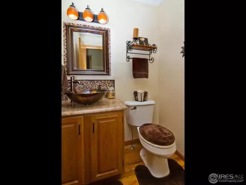225 Plum Ct, Windsor, CO 80550 photo 13