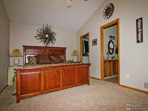 225 Plum Ct, Windsor, CO 80550 photo 17