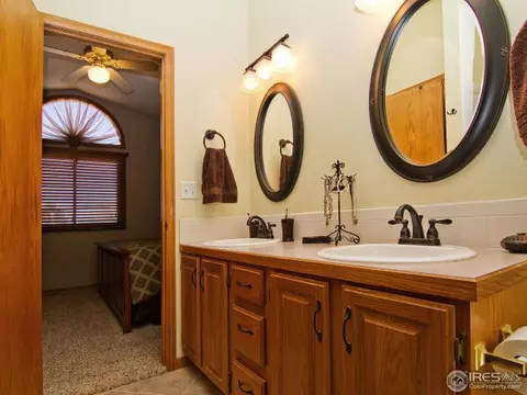 225 Plum Ct, Windsor, CO 80550 photo 14