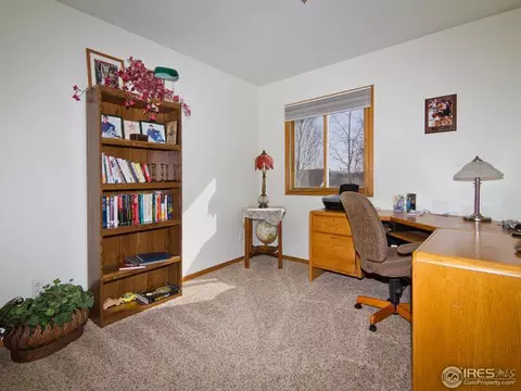225 Plum Ct, Windsor, CO 80550 photo 19