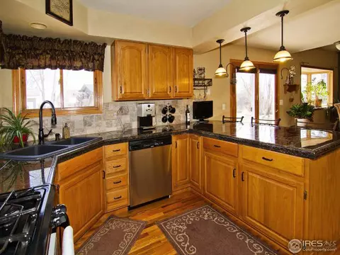 225 Plum Ct, Windsor, CO 80550 photo 11
