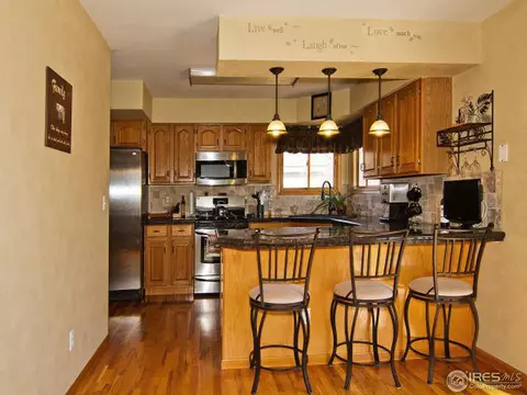 225 Plum Ct, Windsor, CO 80550 photo 10