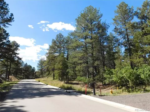 773 Copper Fox Pl, Larkspur, CO 80118