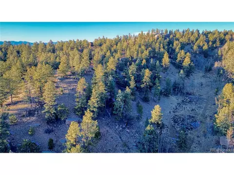 911 Pinon Ln, Florissant, CO 80816