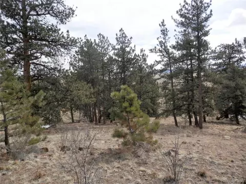 80 Buckboard Way, Hartsel, CO 80449