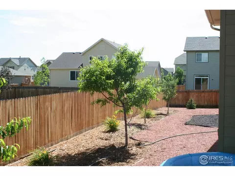 8098 Raspberry Dr, Frederick, CO 80504 photo 6