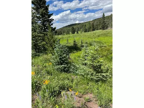 3091 Sterenson Pl, Fort Garland, CO 81133