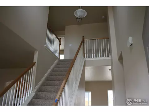 493 Wind River Dr, Windsor, CO 80550 photo 5